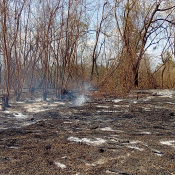 Defesa Civil destaca o Dia Internacional para Redução do Risco de Desastres: “Resiliência compensa”